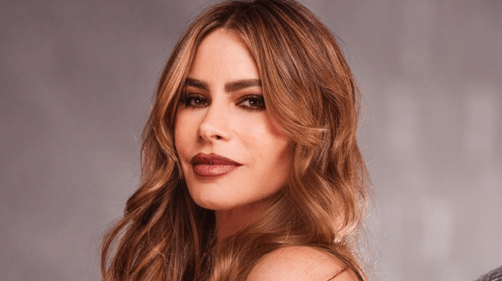 Sofia Vergara fala sobre acusações de excesso de plásticas